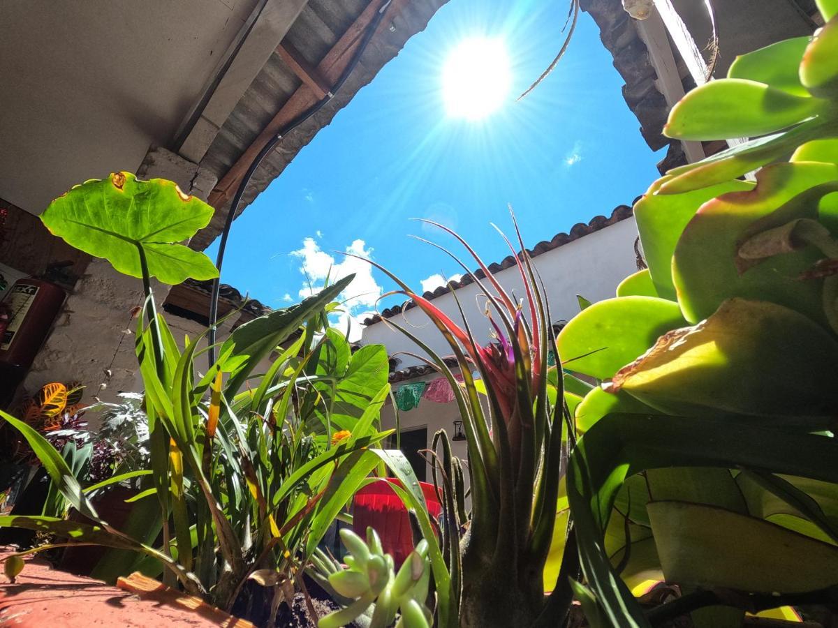 Hostal Posada Mi Casa San Cristóbal de Las Casas Kültér fotó