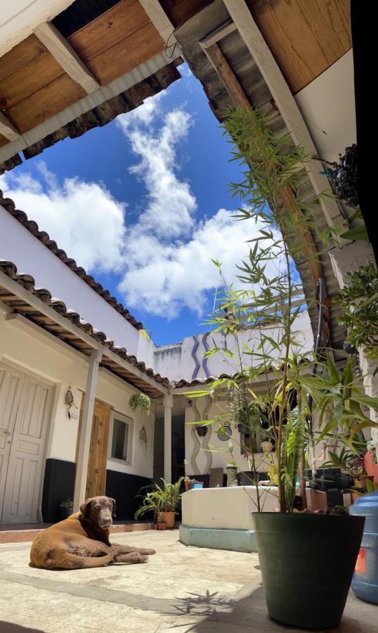 Hostal Posada Mi Casa San Cristóbal de Las Casas Kültér fotó
