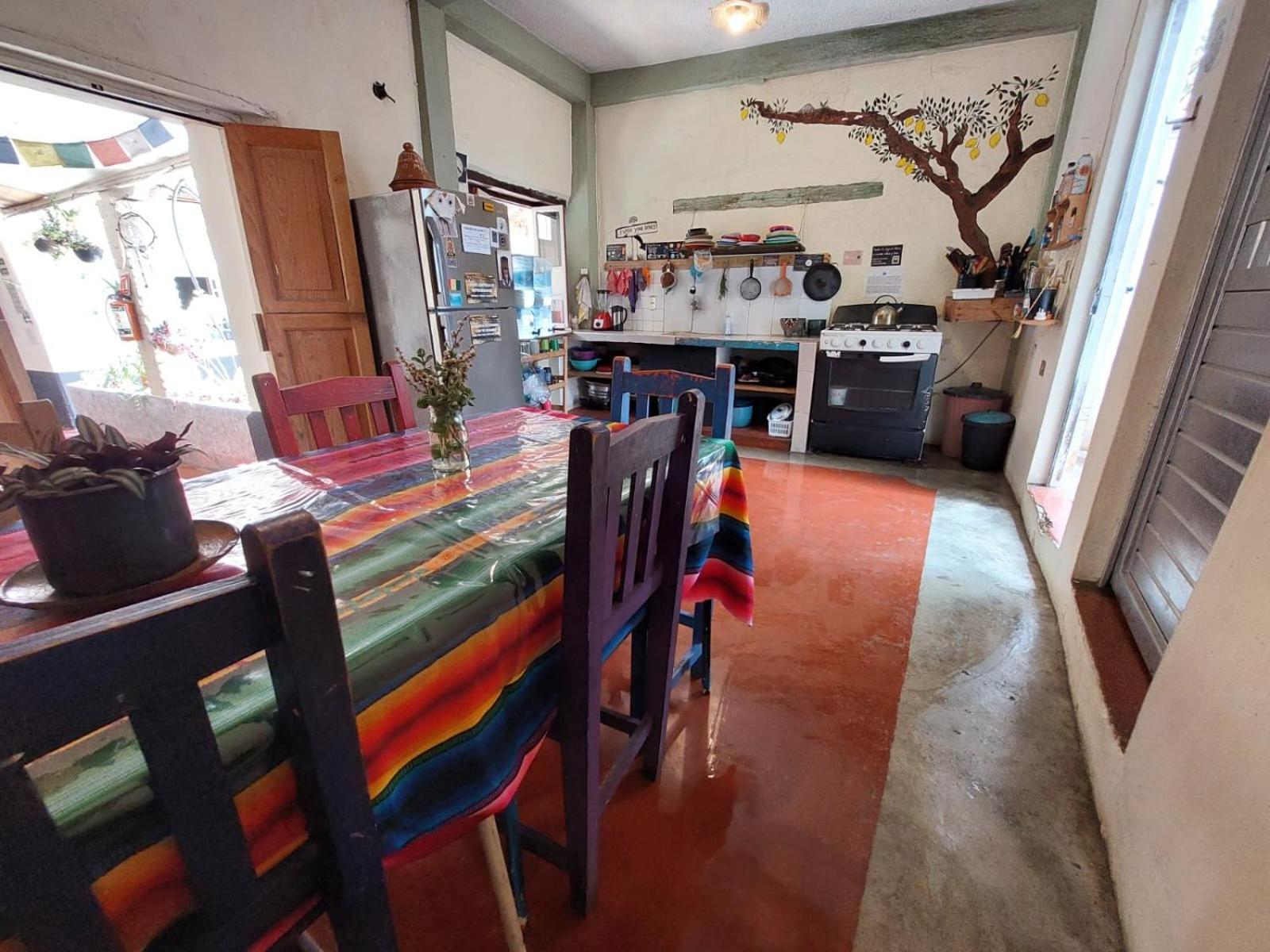 Hostal Posada Mi Casa San Cristóbal de Las Casas Kültér fotó